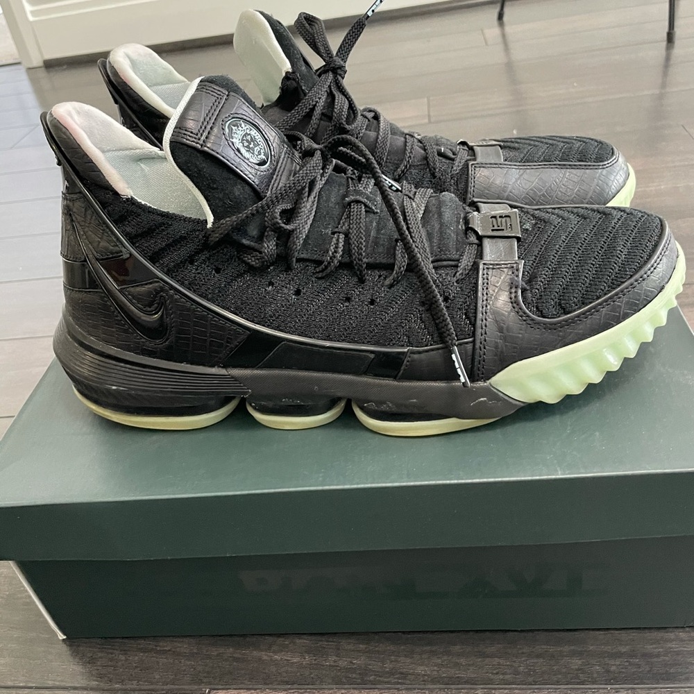 Lebron 17 SB